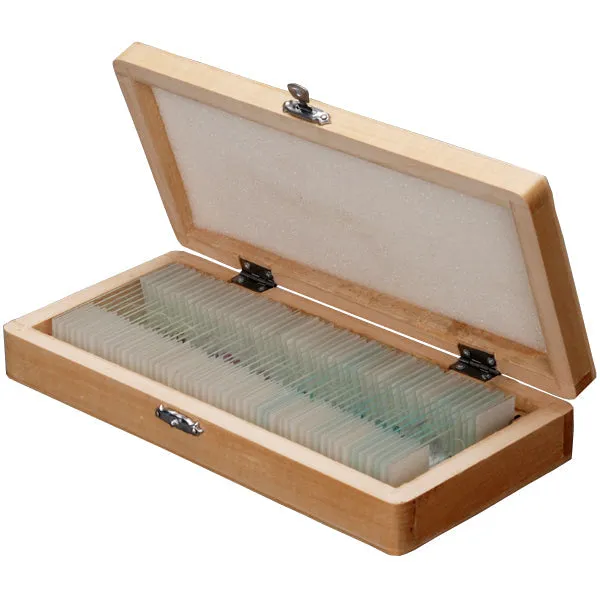 AmScope 50pc Prepared Glass Microscope Slides in Wood Case with Plant, Fungus, Insect and Mammal Specimens
