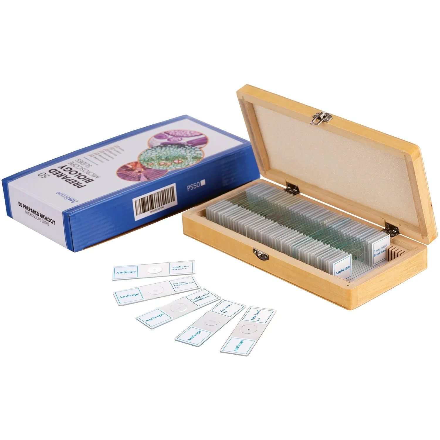 AmScope 50pc Prepared Glass Microscope Slides in Wood Case with Plant, Fungus, Insect and Mammal Specimens